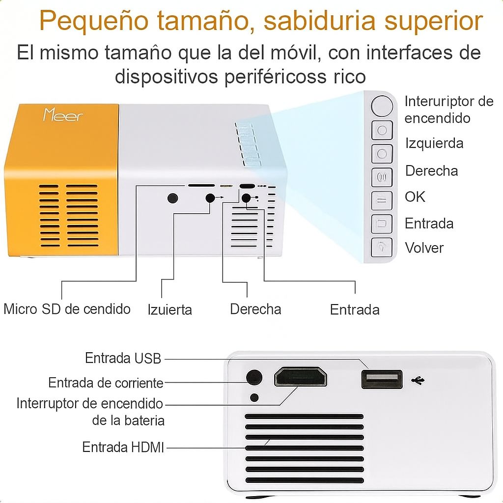 WhatsApp Image 2025-11-10 at 7.29.15 PM